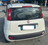 FIAT Panda 1.3 MJT 80 CV S&S Easy