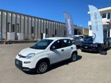 FIAT Panda *PROMO* 1.0 FireFly S&S Hybrid
