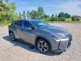LEXUS UX 250h UX Hybrid 4WD Luxury