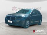 BMW X1 xDrive25e Business Advantage