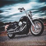 HARLEY-DAVIDSON Softail Standard FXST UNICO PROPR. ACCESSORIATA