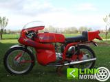 MV AGUSTA Other 350 Sport Bicilindrica con carena omologata