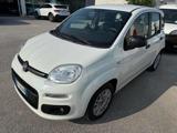 FIAT PANDA 1.3 MJT VAN 4 POSTI  AUTOCARRO 4 POSTI