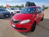 LANCIA Ypsilon 1.2 69 CV 5 porte Gold