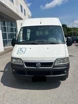 FIAT MINIBUS