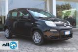 FIAT Panda Panda 1.0 70cv Hybrid Panda MY24