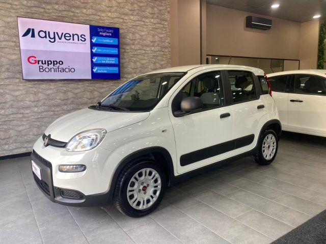 FIAT Panda Bianco pastello