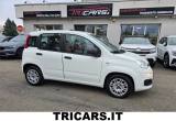 FIAT Panda 1.3 MJT NEOPATENTATI PROMO 1500 PERMUTE EURO 6