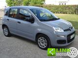 FIAT Panda 1.0 FireFly 70cv Hybrid 3°Serie