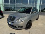LANCIA Ypsilon 1.2 Argento OK NEOPATENTATI