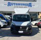 FIAT Ducato 33 2.3 MJT 140CV PLM Cabinato