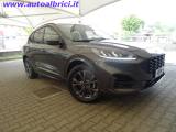 FORD Kuga 1.5 ECOBOOST 150 CV 2WD ST-LINE