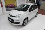 FIAT Panda 1.2 Pop 69cv Km.30.500