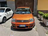 FIAT Panda 1.2 Dynamic GPL
