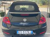 VOLKSWAGEN Maggiolino 1.6 TDI 50? Anniversary