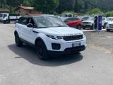 LAND ROVER Range Rover Evoque 2.0 eD4 5p. Business Edition Premium Pure