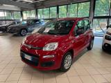 FIAT Panda 1.2 Easy in contanti