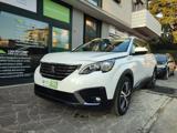 PEUGEOT 5008 business