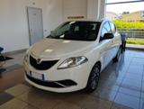 LANCIA Ypsilon 1.2 69 CV 5 porte Platinum PER NEOPATENTATI