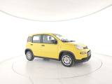 FIAT Panda 1.0 FireFly S&S Hybrid Pandina