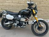 TRIUMPH Scrambler 1200 XE Zard