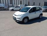 FIAT Panda *PROMO* 1.0 FireFly S&S Hybrid