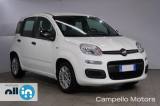 FIAT Panda Panda 1.0 70cv Hybrid Panda