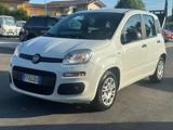 FIAT Panda 1.2 Panda Pan