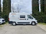 RIMOR  Horus 54