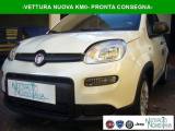 FIAT Panda 1.0 FireFly S&S Hybrid Pandina Urban Vettura Nuova
