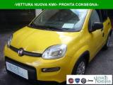FIAT Panda 1.0 FireFly S&S Hybrid Pandina Urban Radio
