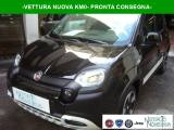 FIAT Panda Cross Pandina 1.0 FireFly Hybrid 5°Posto Nuovo Modello
