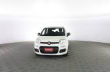 FIAT Panda Panda 1.0 FireFly 70cv S&S Hybrid E6d-Final EASY
