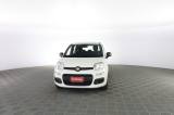 FIAT Panda Panda 1.0 FireFly 70cv S&S Hybrid E6d-Final EASY