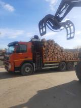 VOLVO 420