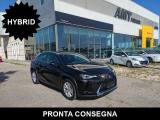 LEXUS UX 250h UX 250h 2.0  cvt