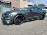 FORD Mustang Fastback 5.0 V8 aut. GT Unico Pro Cronotagliandi
