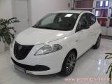 LANCIA Ypsilon 1.2 69 CV 5 porte Elefantino 