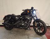 HARLEY-DAVIDSON 883 Sportster XL IRON