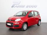 FIAT Panda 1.0 FireFly S&S Hybrid *PROMO PARISI GROUP*