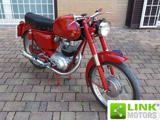 ALTRE MOTO O TIPOLOGIE Other MASERATI 160 T4 DEL 1955  CON ASI