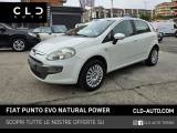 FIAT Punto Evo 1.4 5 porte Active Natural Power
