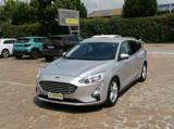 FORD Focus 1.5 EcoBlue 120 CV SW Business