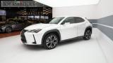 LEXUS UX 250h UX Hybrid Executive