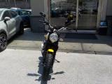 DUCATI Scrambler 800 Anno 2018