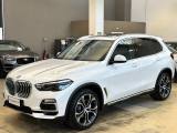 BMW X5 xDrive40i xLine-21