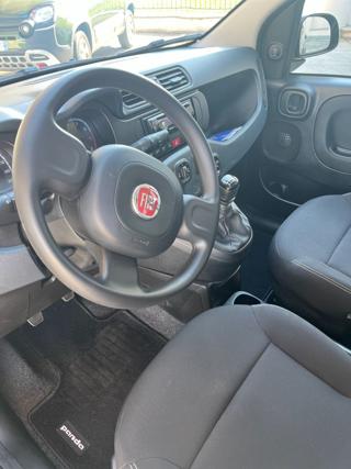 FIAT Panda usata, con Climatizzatore