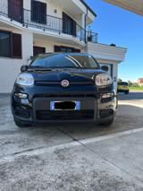 FIAT Panda Panda MY24 1.0 70cv Hybrid