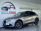 ALFA ROMEO Stelvio 2.2 Turbodiesel 190 CV AT8 Q4 B-Tech