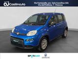 FIAT Panda 1.0 FireFly S&S Hybrid City Life MY24